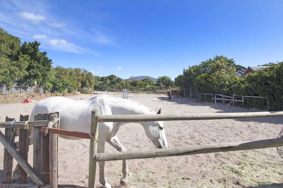 4 Bedroom Property for Sale in Meadowsteads Western Cape